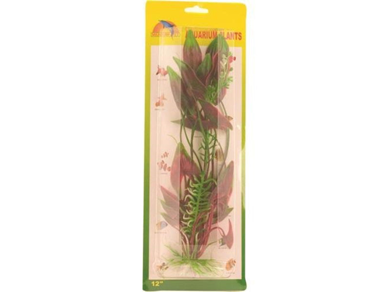 Meadow Arrowhead plant plastic 30 cm