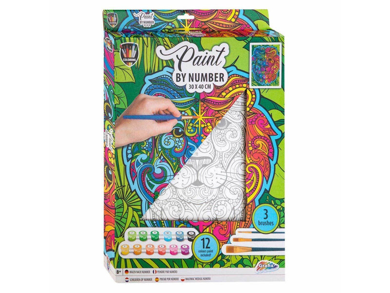 Grafix Painting by Numbers Canvas - Lion