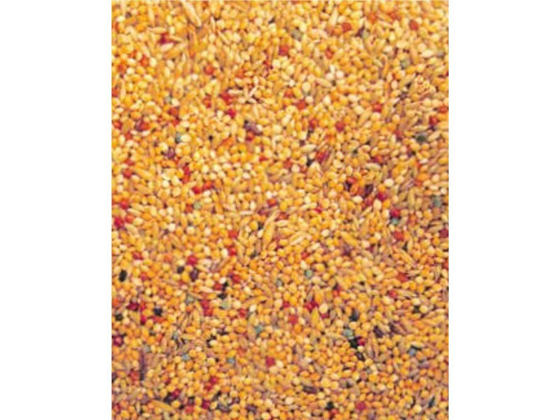 Dogman Seed mix budgie