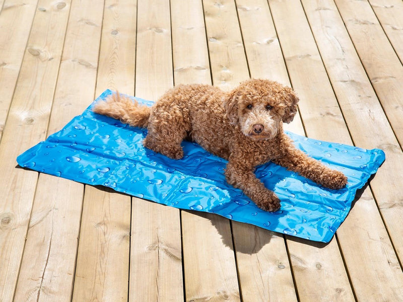 Dogman Kühlmatte für Haustiere Blaue Regentropfen Größe Mittel: 50x90cm