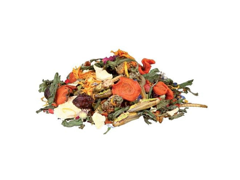 Trixie Food mixture for bearded dragons 100 g