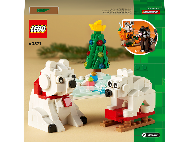 LEGO 40571 Eisbären im Winter