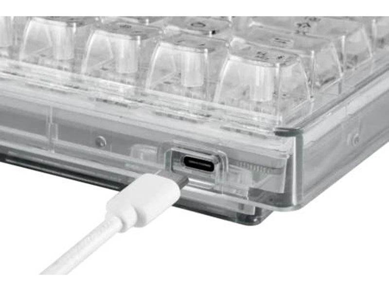 Deltaco GAM-160-T-CH keyboard - Gaming Tastaturen - Transparent