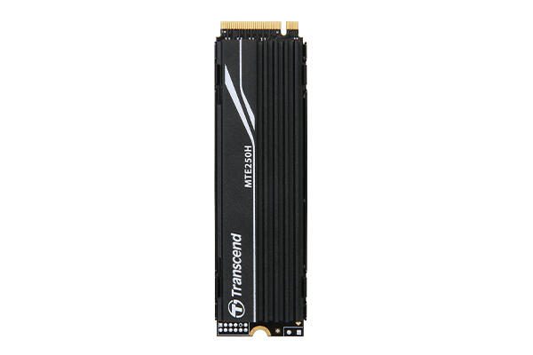 Transcend MTE250H M.2 SSD - 4 TB