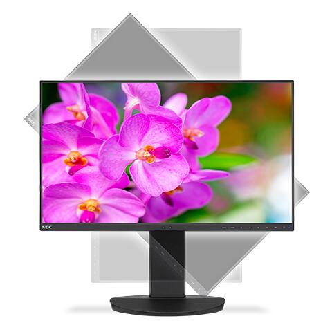 NEC Monitor MultiSync EA241F-BK LED-Display 60,47 cm (24') schwarz