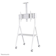 Neomounts NS-M1500 mobiler Bodenständer