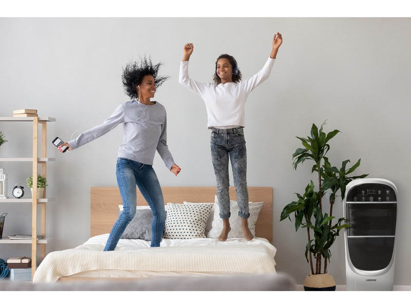 eeese Lea 2-in-1 Luftkühler und Luftbefeuchter – 30m2 – 1000m3/stunde