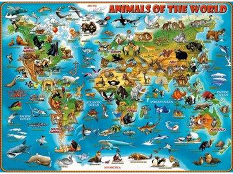 Ravensburger World Of Animals 300p