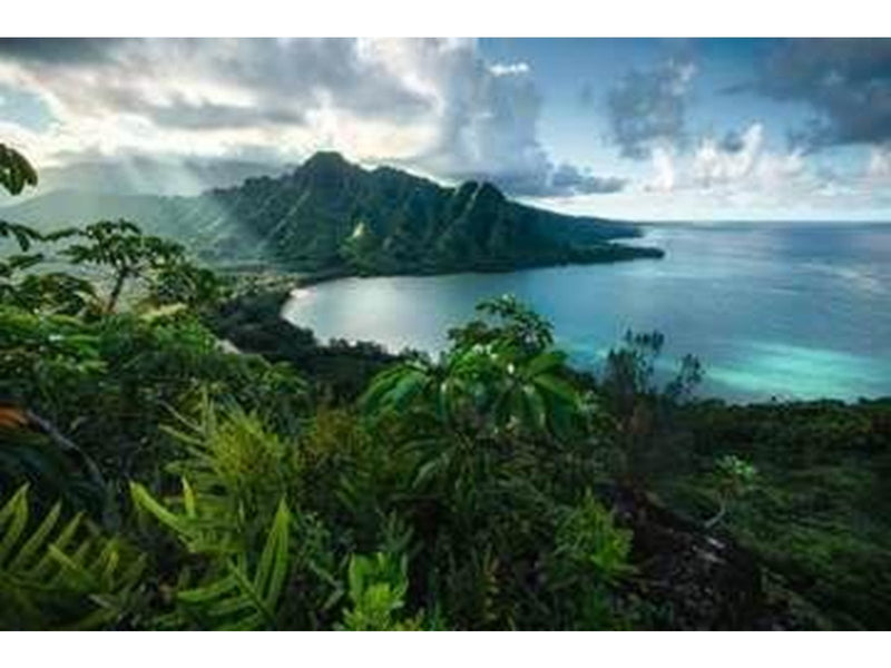 Ravensburger Hawaiian Viewpoint 5000p