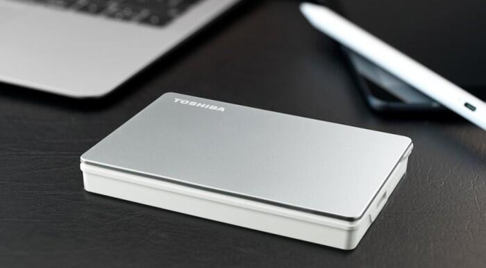 Toshiba Canvio Flex silber - 2TB