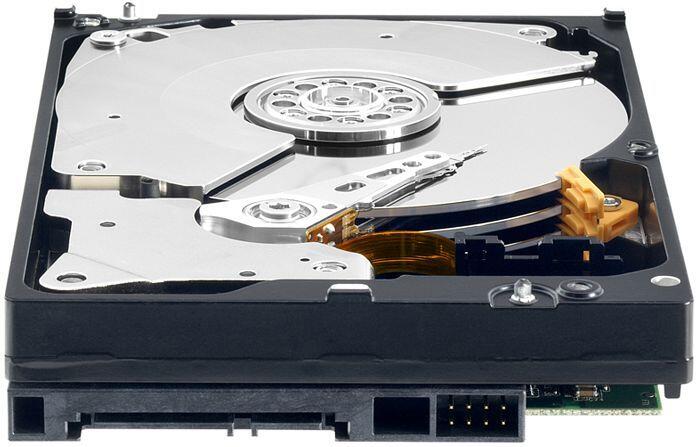 WD Black Performance Hard Drive - 10TB, 256 MB