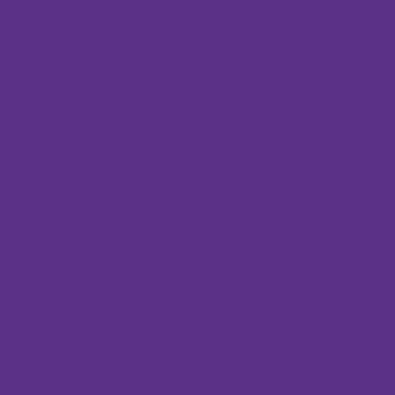 plottiX Permanent Vinylfolie Violett (31,5 cm x 1 m)