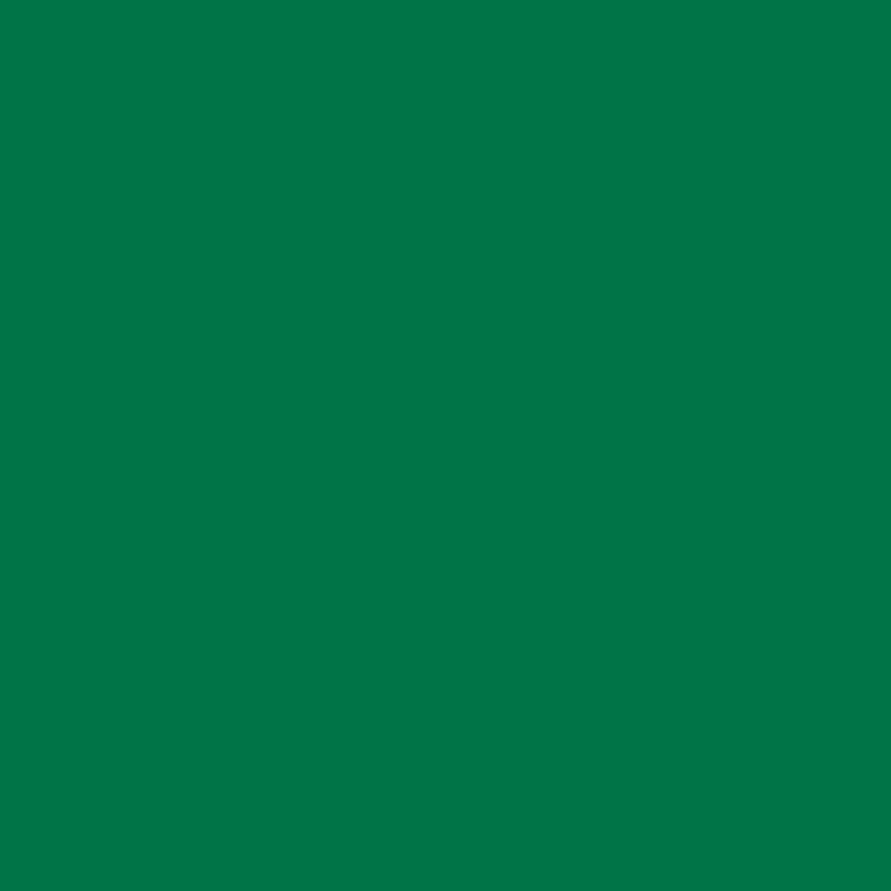 plottiX Permanent Vinylfolie Grün (31,5 cm x 1 m)