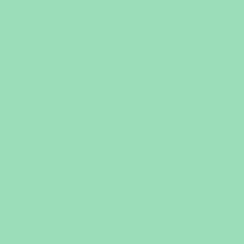 plottiX Permanent Vinylfolie Mint (31,5 cm x 1 m)