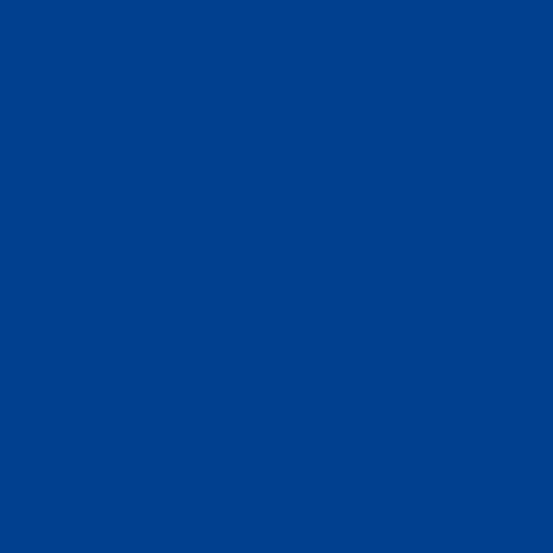 plottiX Permanent Vinylfolie Blau (31,5 cm x 1 m)