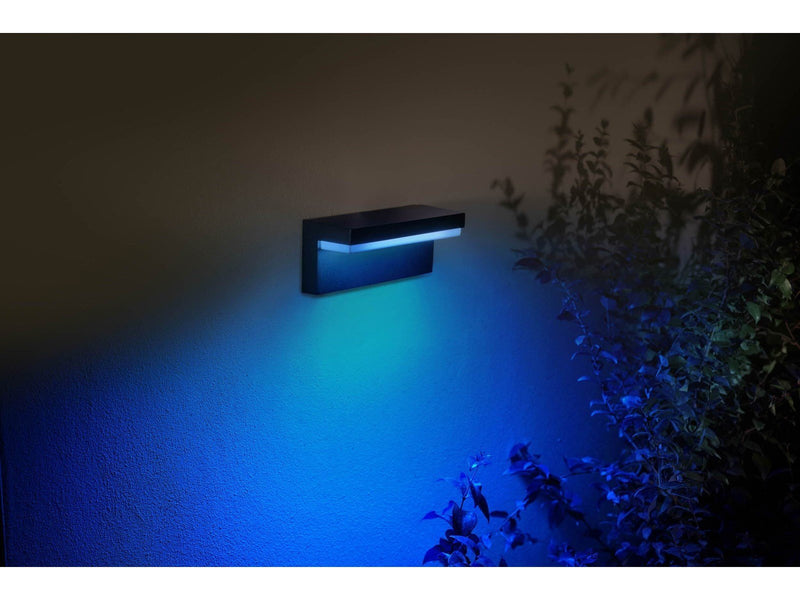 Philips Hue Outdoor Nyro Wall Lantern - Black