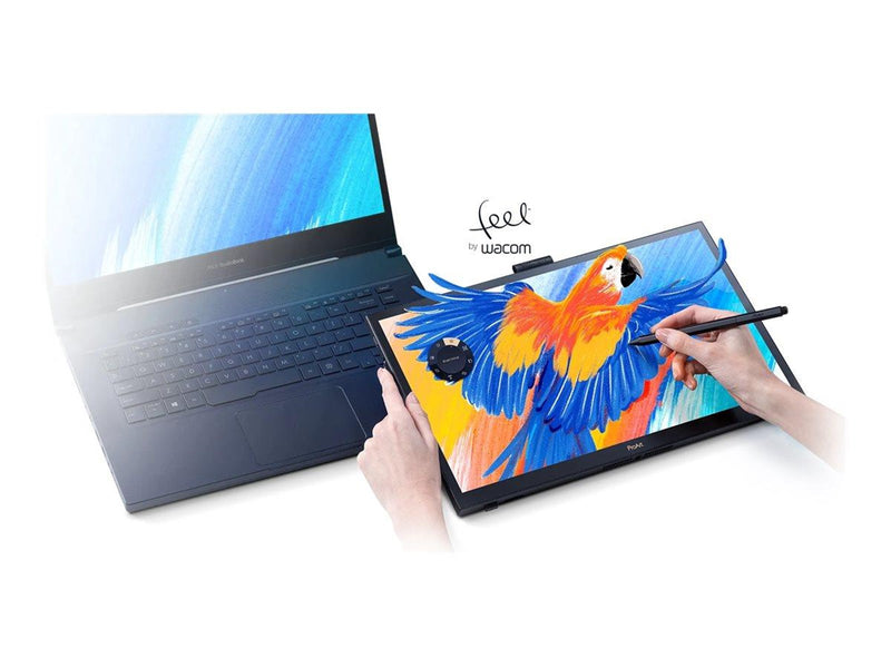 15.6" ASUS ProArt PA169CDV - 3840x2160 (4K) - 60Hz - IPS