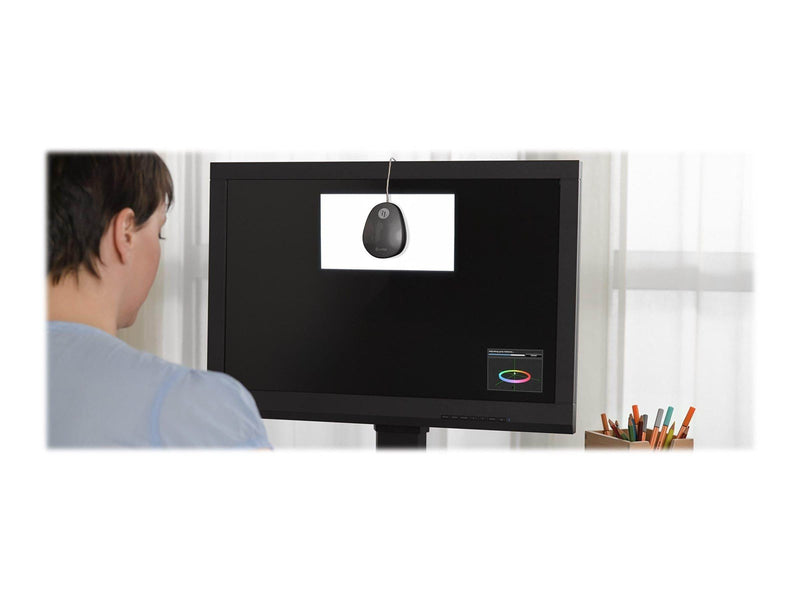 27" EIZO ColorEdge CS2731 - 2560x1440 - IPS - 60W USB HUB