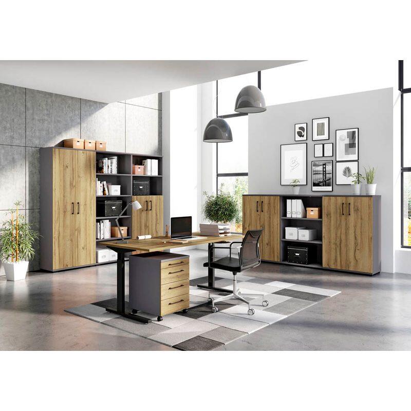 GERMANIA GW-PROFI 2.0 Aktenschrank 4247-564 - graphit/grandson-eiche