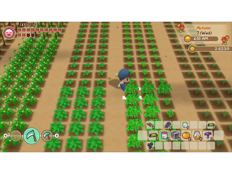 Story of Seasons: Friends of Mineral Town - Nintendo Switch - Strategie - PEGI 12