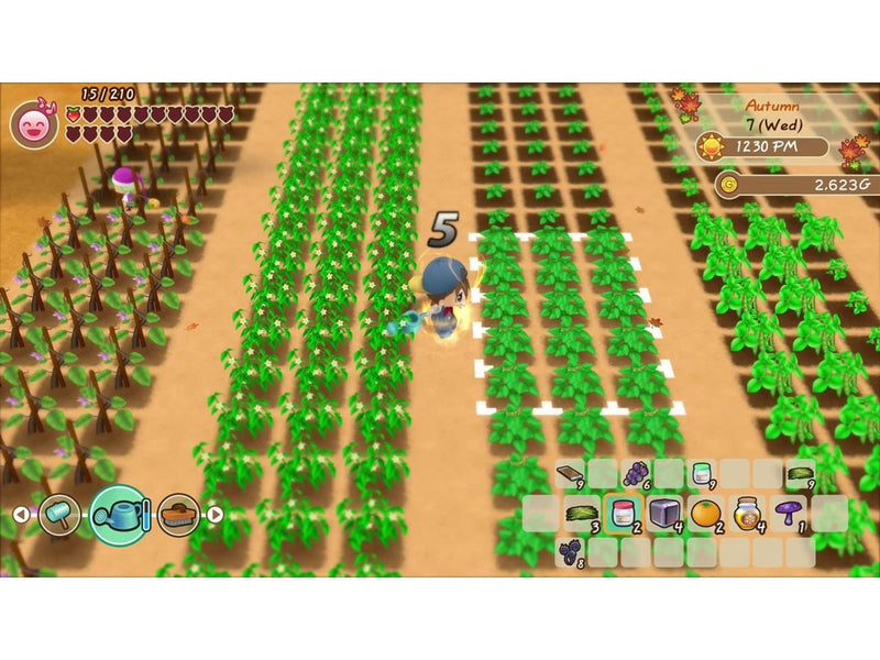Story of Seasons: Friends of Mineral Town - Nintendo Switch - Strategie - PEGI 12
