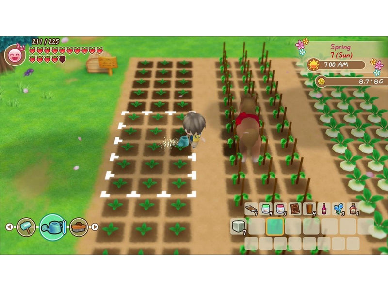 Story of Seasons: Friends of Mineral Town - Nintendo Switch - Strategie - PEGI 12