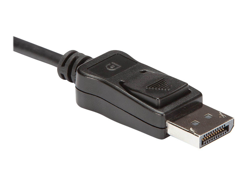 StarTech.com DisplayPort zu DVI Dual Link Active Video Adapter Konverter Video Transformer