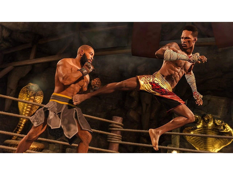 UFC 4 - Sony PlayStation 4 - Fighting - PEGI 16