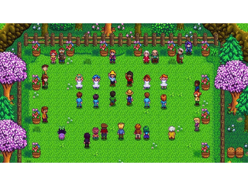 Stardew Valley - Nintendo Switch - RPG - PEGI 12