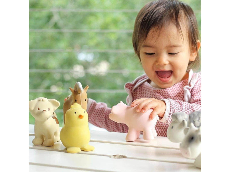 Tikiri Rubber Rattle Chiken