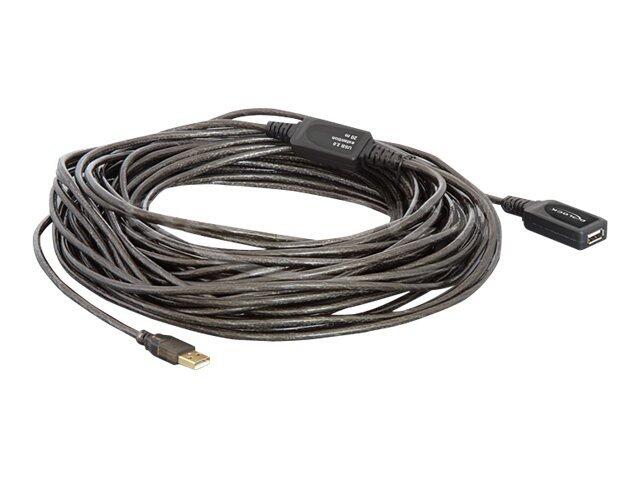 Delock USB Cable - USB-Verlängerungskabel - USB (M) zu USB (