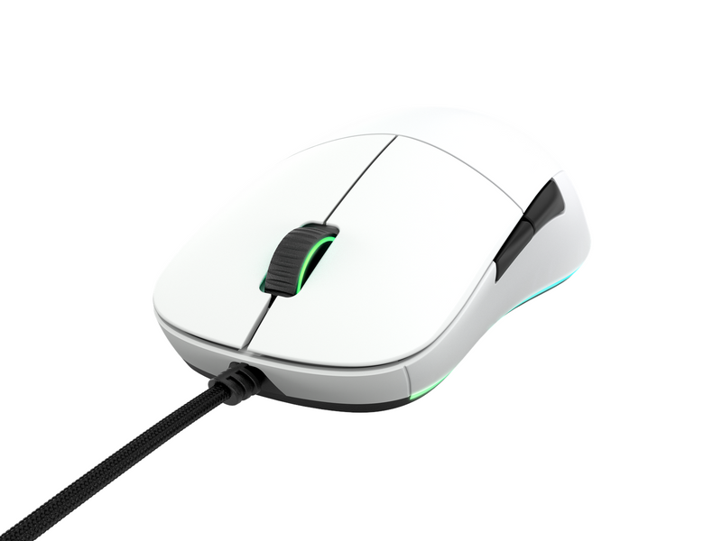 Endgame Gear XM1 RGB - White - Gaming Maus (Weiß mit RGB Licht)