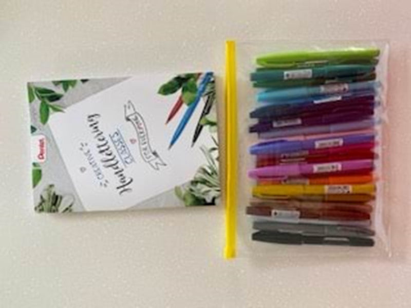 Pentel SES15-24 Brush Sign Pen Plastic cover