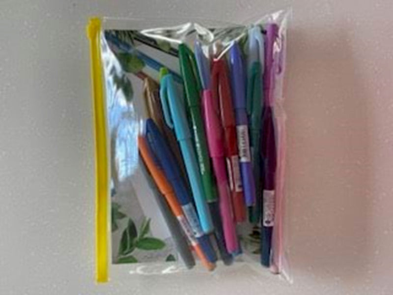 Pentel SES15-24 Brush Sign Pen Plastic cover