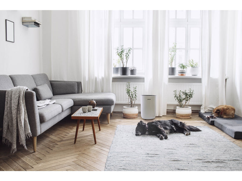 eeese Emil luftentfeuchter – 50m2 – WLAN, Google Assistant – 36dB