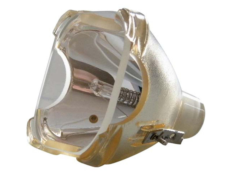 Beamerlampe (nur Leuchtmittel) für BARCO (ersetzt: R9841761 / (SINGLE LAMP))