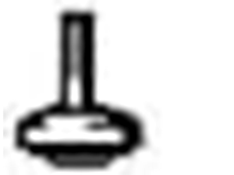 FM Mattsson valve cone