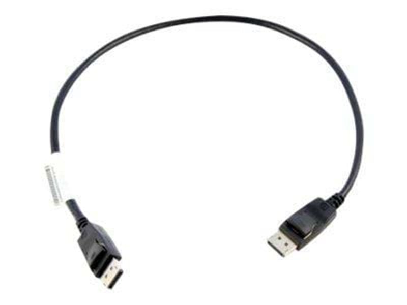 Lenovo DisplayPort Cable M/M - 0.5m