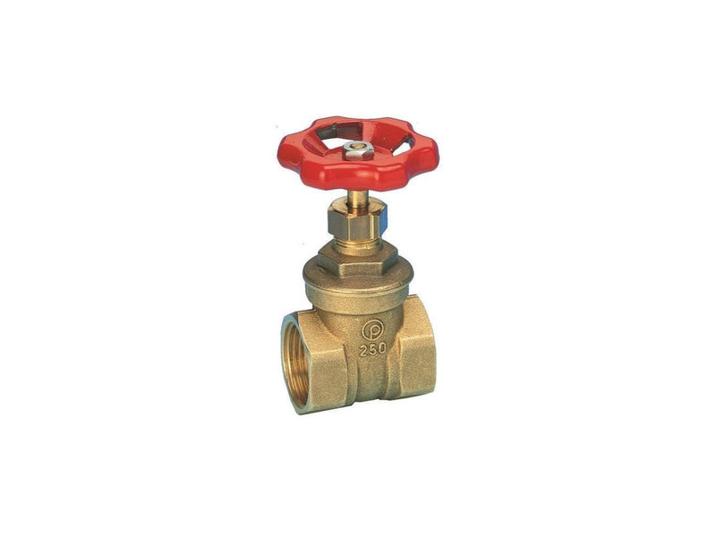 Pettinaroli Brass gate valve 4