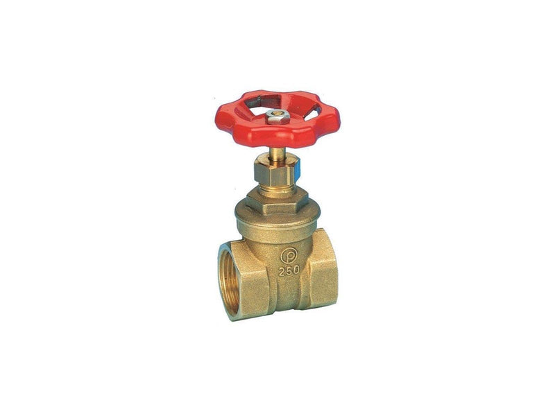 Pettinaroli Brass gate valve 2 1/2