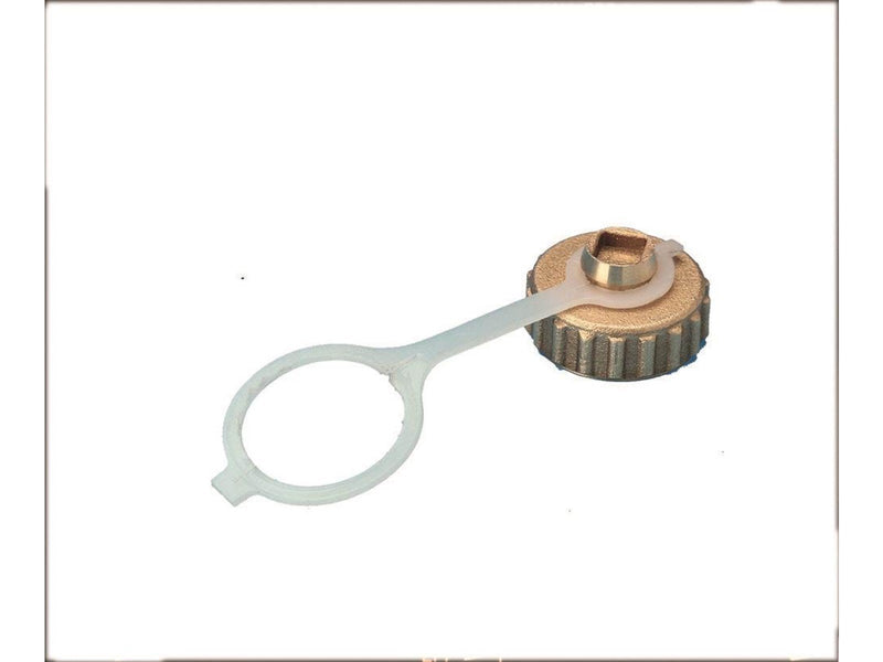 Pettinaroli Cap washer and chain