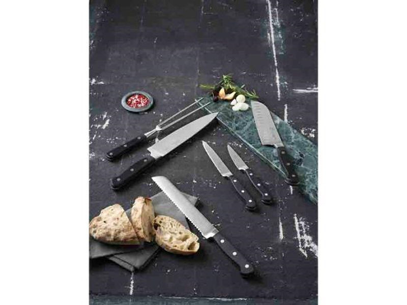 Lion Sabatier Pluton knife set 6 pcs