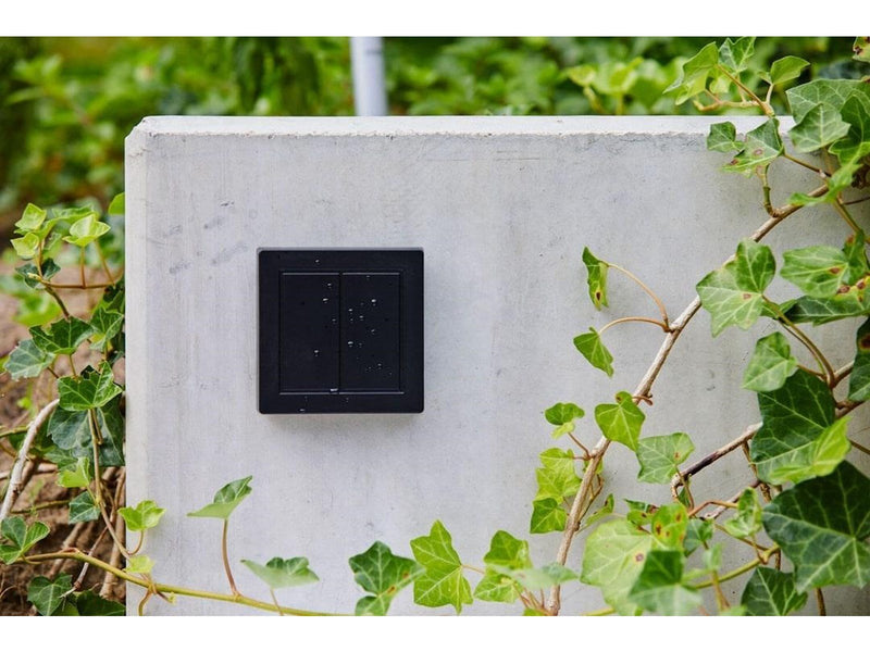Senic Friends of Hue Outdoor Switch