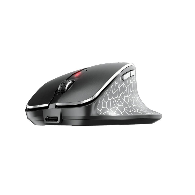 CHERRY MW 8C Ergo Maus