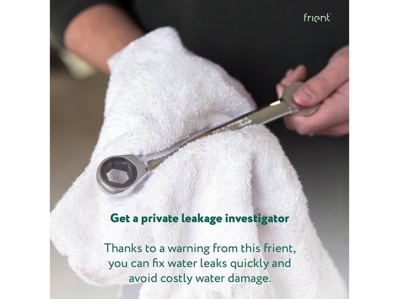 frient Water Leak Detector Probe