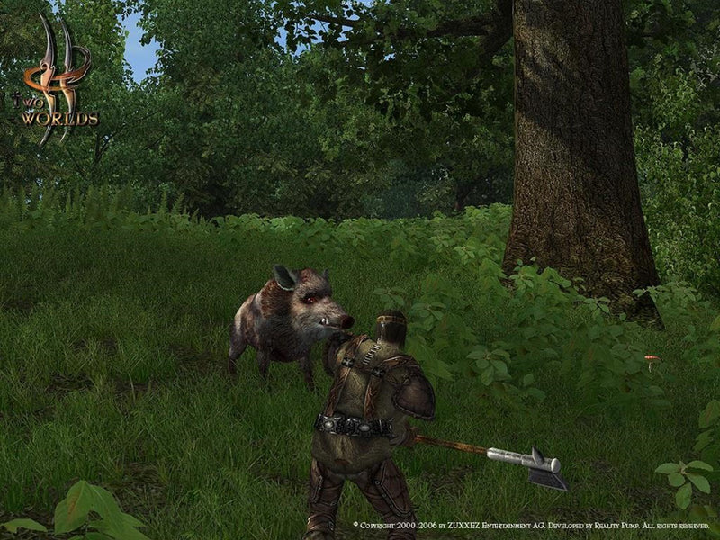 Two Worlds - Windows - RPG - PEGI 12