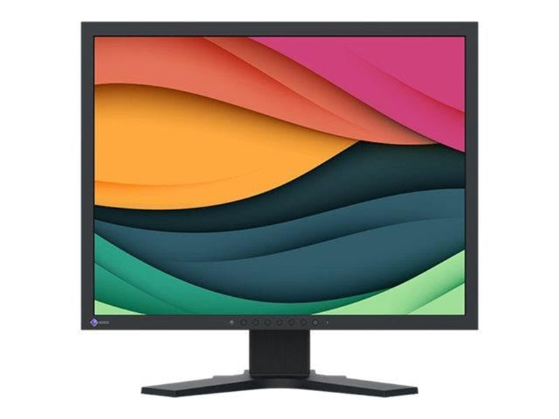 21" EIZO FlexScan S2134 - without stand - LED monitor - 21"