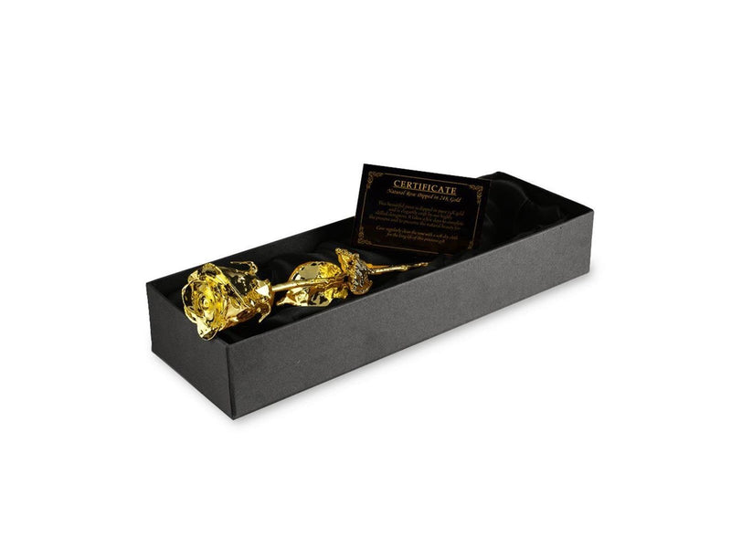 Mikamax 24K Golden Rose - Black Box