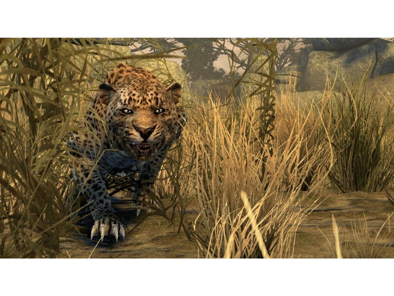 Cabela's Dangerous Hunts 2011 - Nintendo Wii - Jagd - PEGI 16