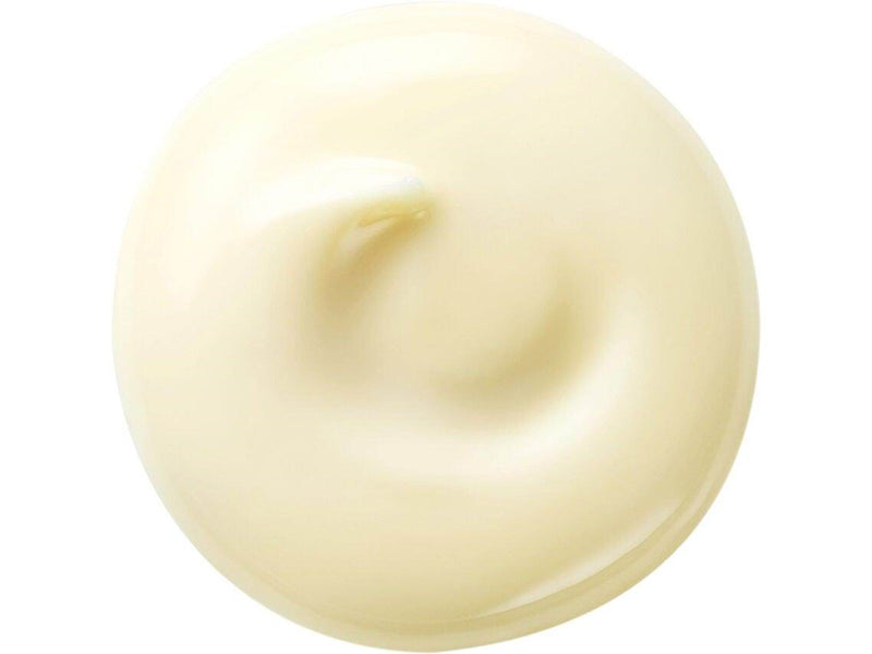Shiseido Benefiance Wrinkle Smoothing Day Cream SPF20 50ml